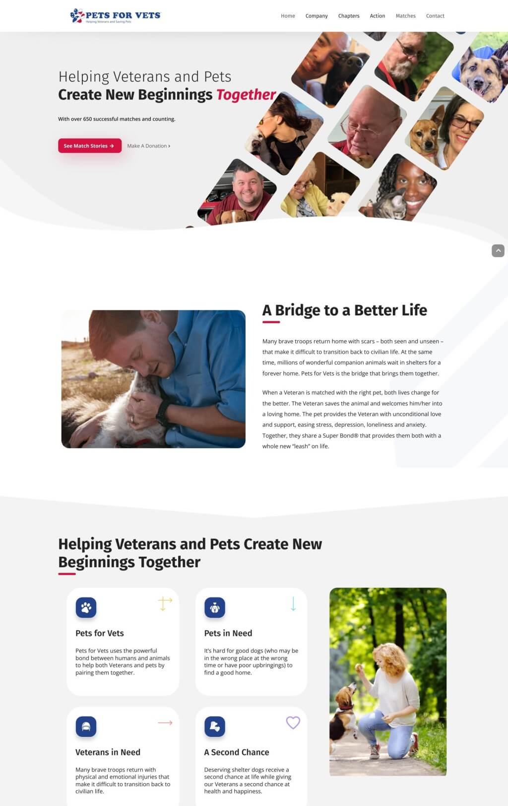 Nonprofit website for pets for vets